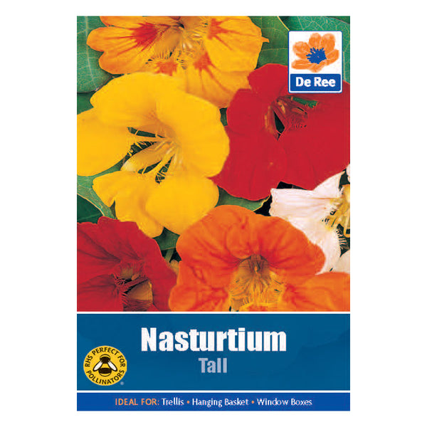 Nasturtium Tall