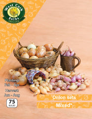 Onion sets Mixed 75 bulb