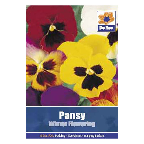 Pansy Winter Flowering