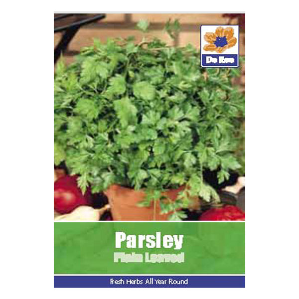 Parsley Plain Leaved