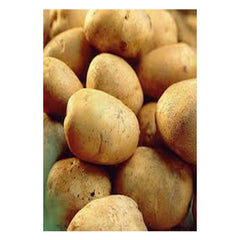 Potatoes - Record Maincrop - 2Kg Nets