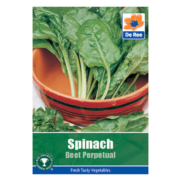 Spinach Beet Perpetual