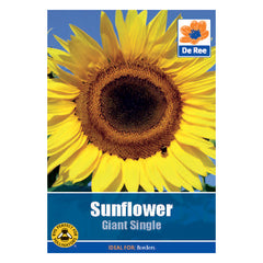 Sunflower Giant Single