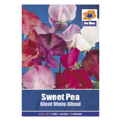 Sweet Pea Giant Waved mixed