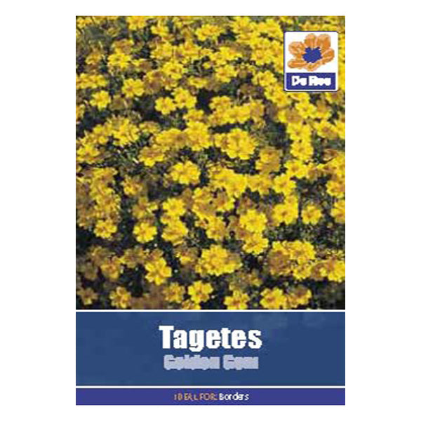 Tagetes Golden Gem
