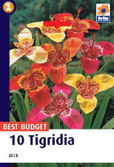 Tigridia Mixed