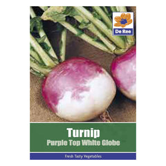 Turnip Purple Top White Globe