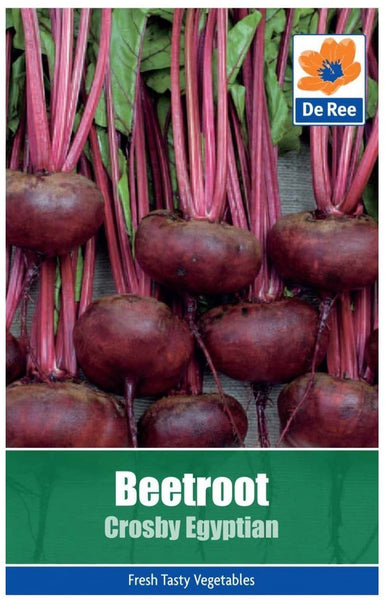 De Ree Beetroot Crosby Egyptian