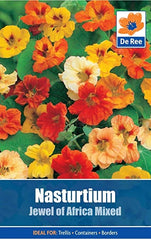 Nasturtium Jewel of Africa Mixed