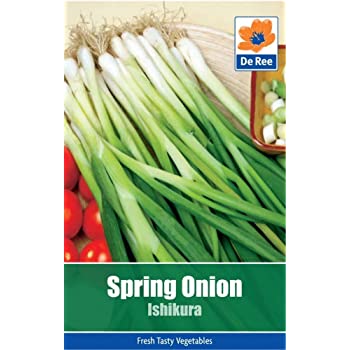 Spring Onion Long White Ishikura