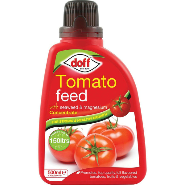 Tomato Feed