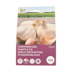 Garlic Bulbs 250g