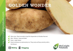 Golden Wonder Seed Potatoes 2kg