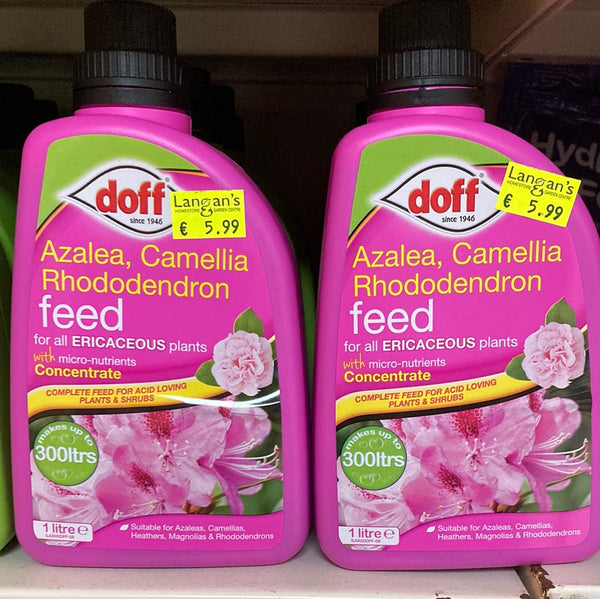 Doff Azalea, Camellia, Rhododendron feed