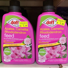 Doff Azalea, Camellia, Rhododendron feed