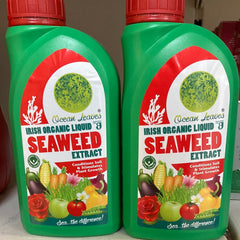 Irish organic liquid seaweed extract