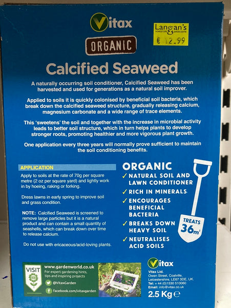Calcified seaweed