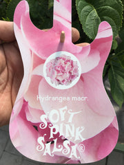 Hydreanga soft pink salsa 7.5l