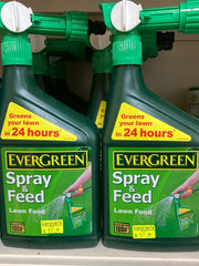 Evergreen spray & feed
