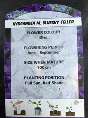 Hydreanga bluesky teller 7.5l