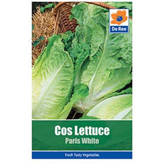 Lettuce cos