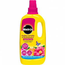 Miracle gro Azalea,Camellia & Rhododendron Feed
