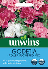 Unwins Godetia Azalea Flowered Mix