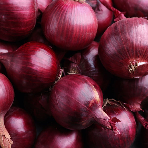 Onion Sets - Red Barron (Spring Planting - 75pce)