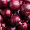 Onion Sets - Red Barron (Spring Planting - 75pce)