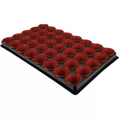 Seed & cutting trays