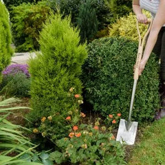 Kent & Stowe Border Spade